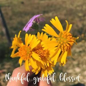 Meet your Posher, Elena